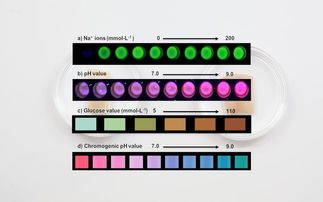 媽媽問我為什么紋身,當然是 為了健康 啊